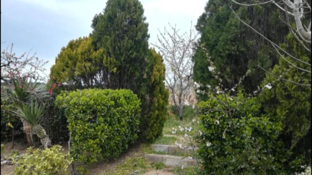 Appartamento Sa Chiriasa Monti Esterno foto
